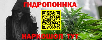 крисы Донецк