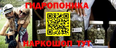 крисы Донецк