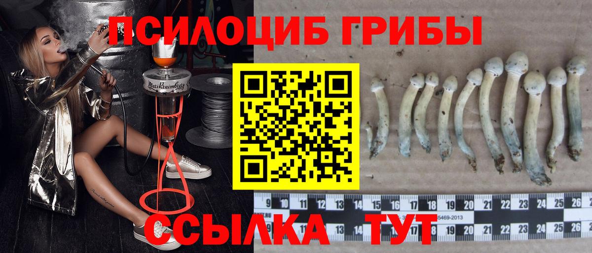 Малоярославец  Меф кристаллы  COCAIN  Вход с VPN  COCAIN  ГАШ  Конопля  МЕТ  ЭКСТАЗИ  НБОМе  LSD-25  Гашиш  Где купить 